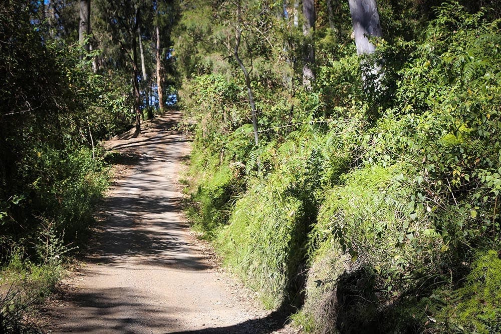 scotland-island-lodge-review-20-1-of-1 - Londoner In Sydney
