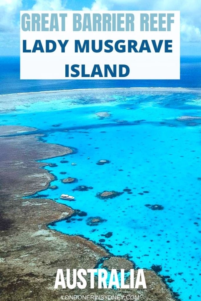 LADY-MUSGRAVE-ISLAND-1-683x1024-1 - Londoner In Sydney