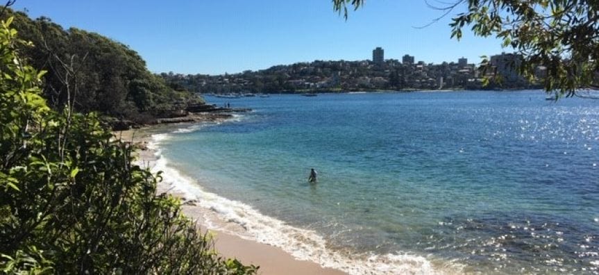 manly-to-spit-walk-sydney-tourist-attractions