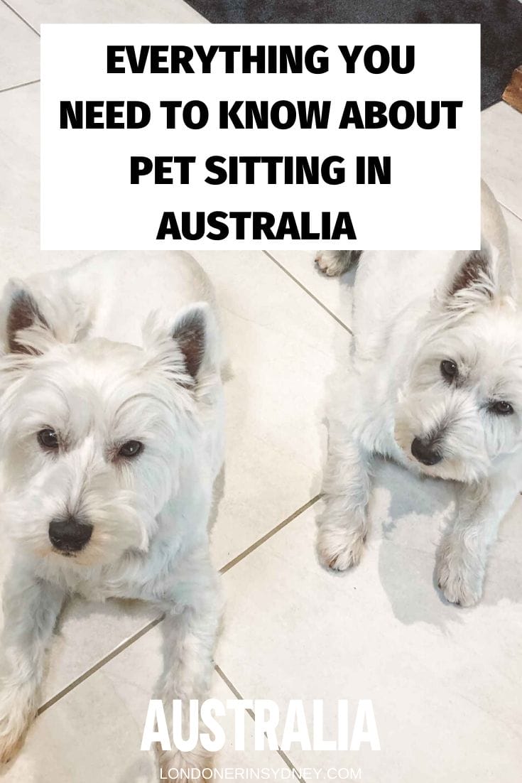 house-sitting-australia - Londoner In Sydney house-sitting-australia