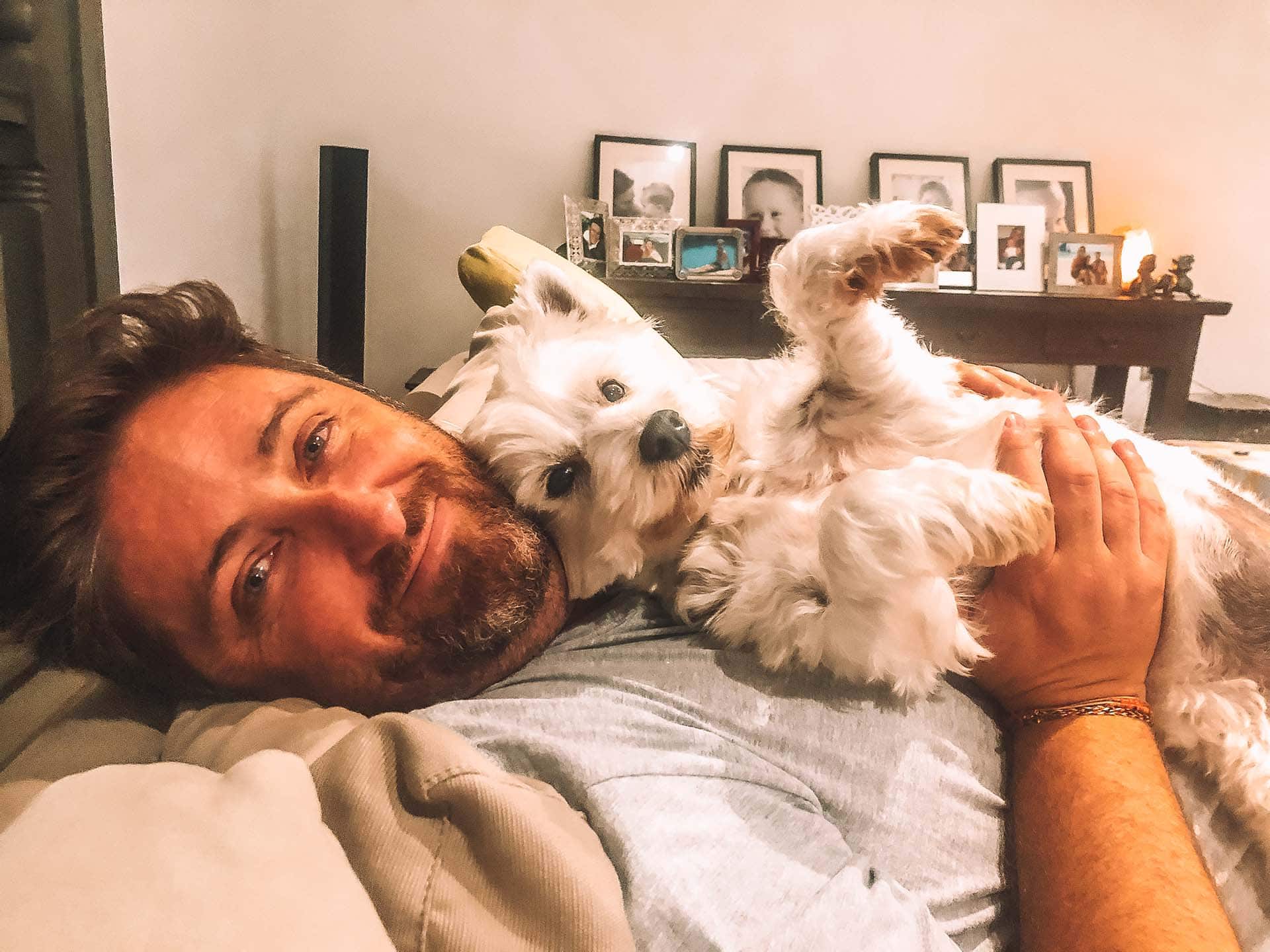 aussie-house-sitters - Londoner In Sydney aussie-house-sitters
