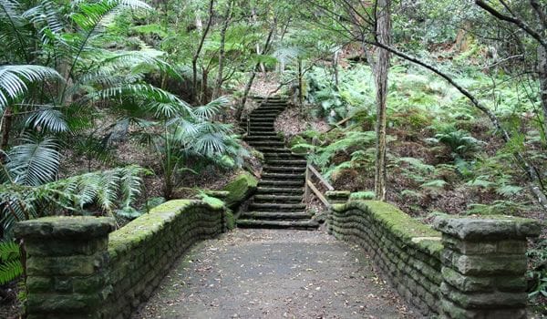 cooper-park-sydney - Londoner In Sydney