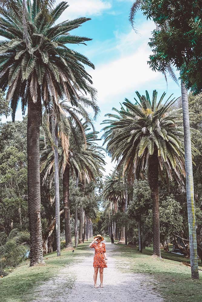 centennial-park - Londoner In Sydney