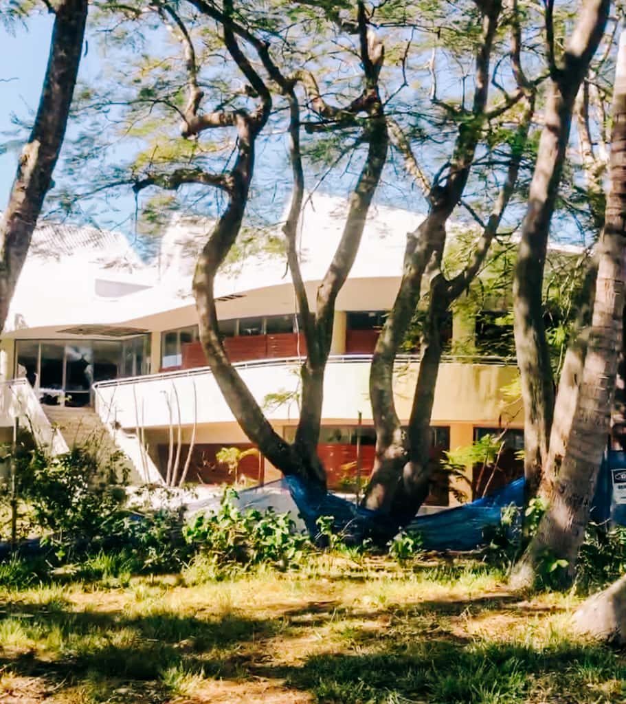 IMG_5084-911x1024-1 - Londoner In Sydney