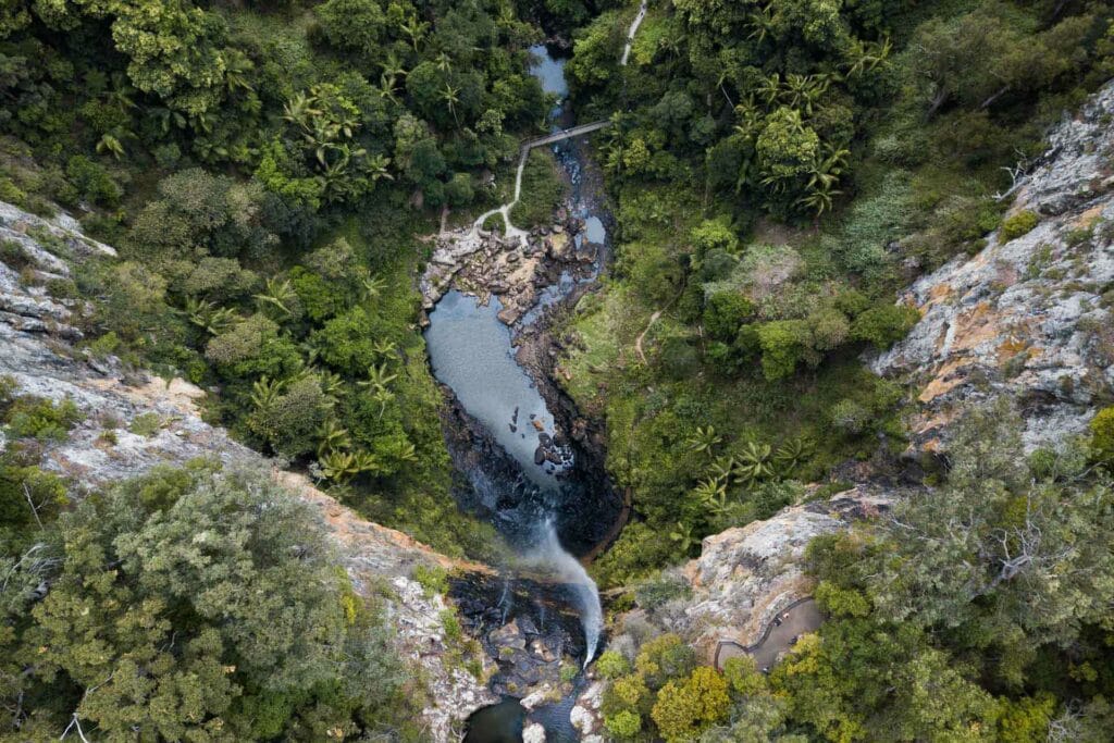 purling-brook-falls-springbrook-national-park-gold-coast - Londoner In Sydney purling-brook-falls-springbrook-national-park-gold-coast