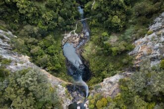 purling-brook-falls-springbrook-national-park-gold-coast