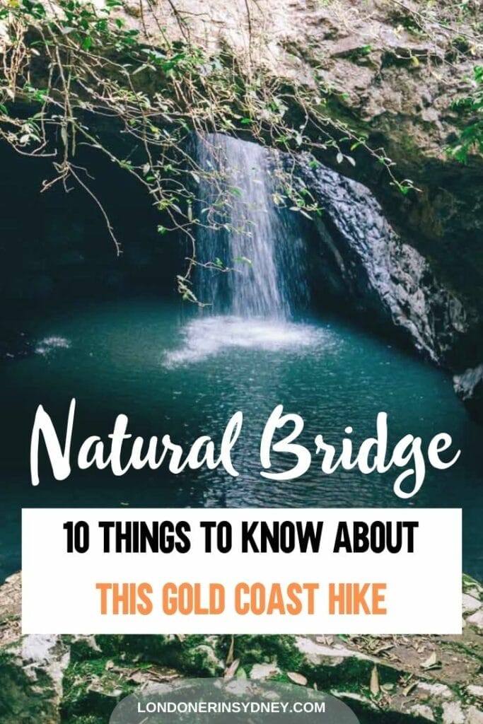natural-bridge-walk-springbrook-national-park