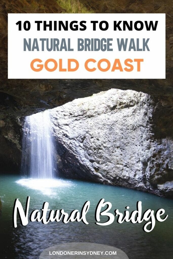natural-bridge-walk-springbrook-national-park