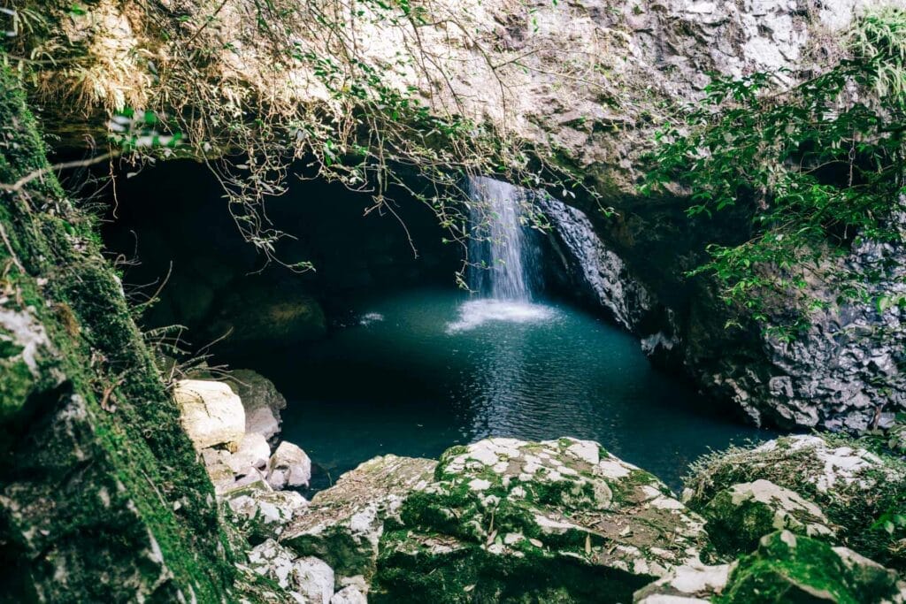natural-bridge-springbrook-national-park-9