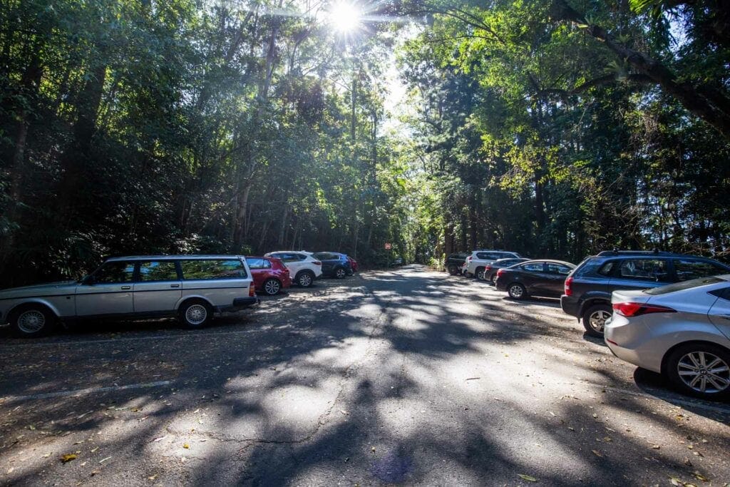 natural-bridge-springbrook-national-park