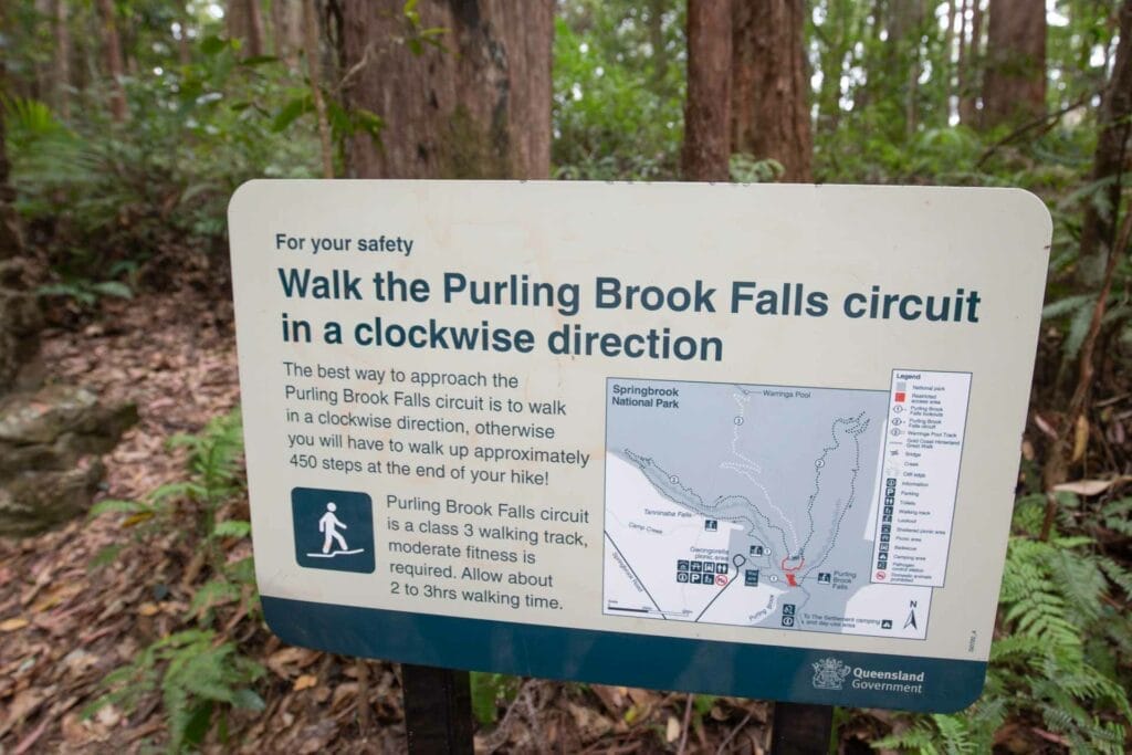 purling-brook-falls-springbrook-national-park-2