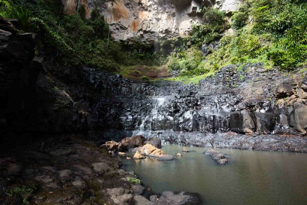 purling-brook-falls-springbrook-national-park-16