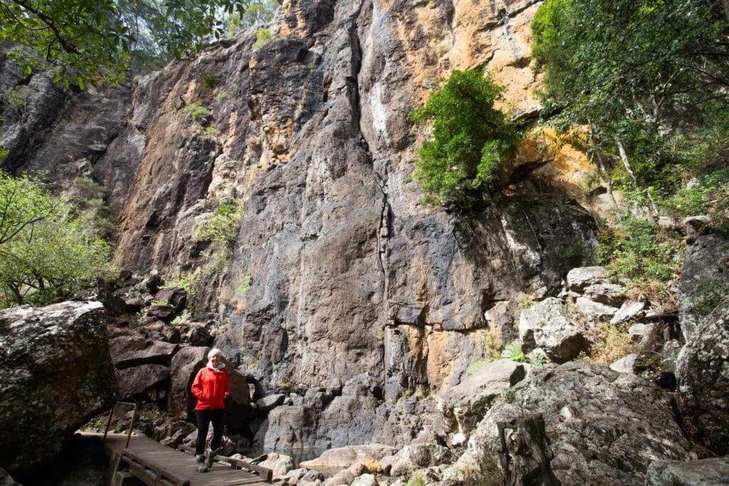 purling-brook-falls-springbrook-national-park-9