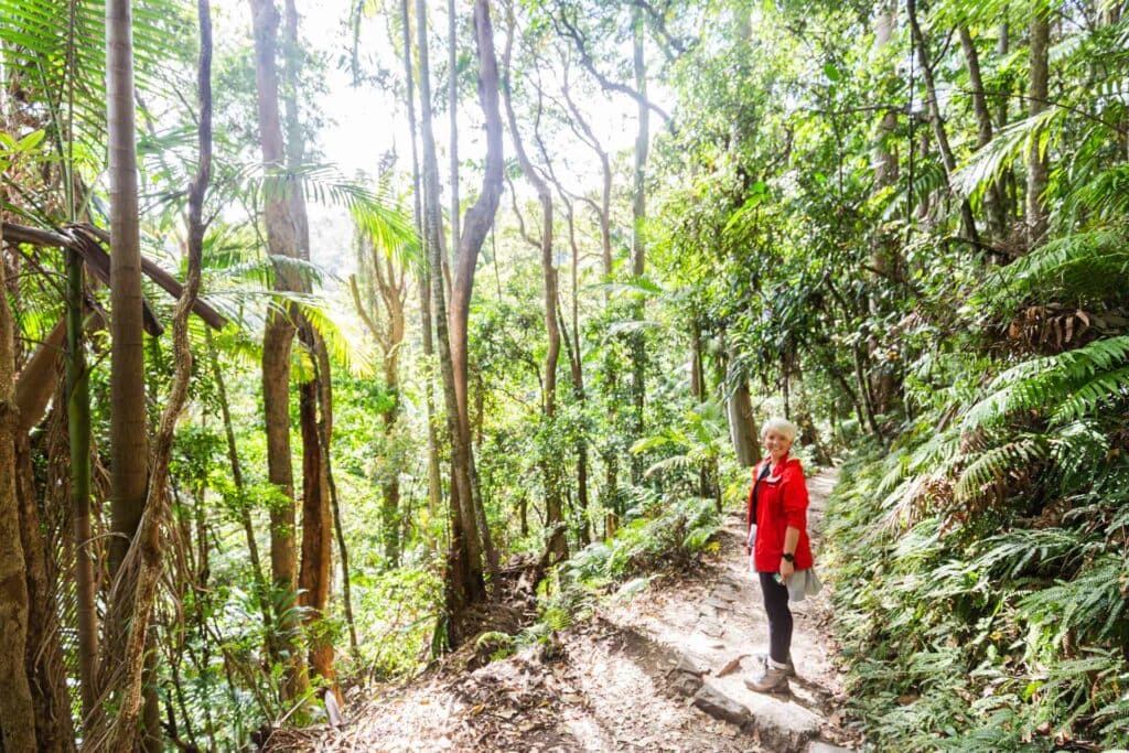 purling-brook-falls-springbrook-national-park-10