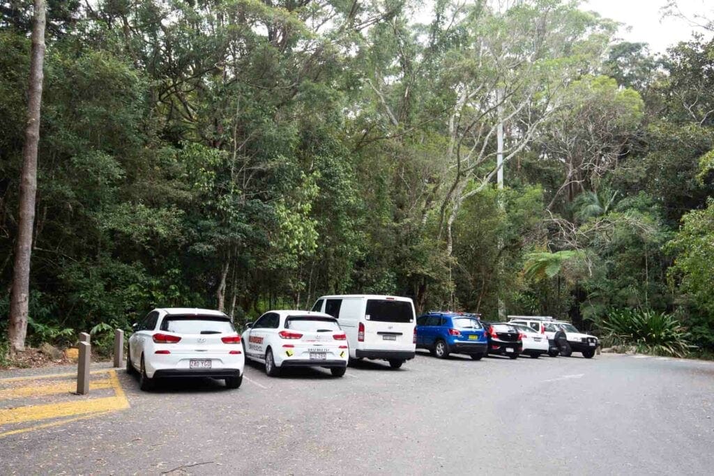 purling-brook-falls-springbrook-national-park
