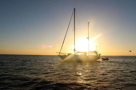 heron-island-sunset-cruise
