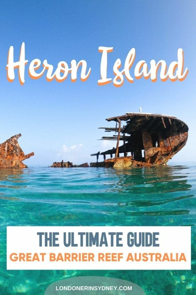 heron-island - Londoner In Sydney heron-island-review-1