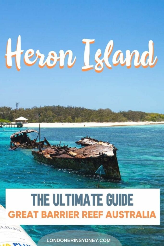 heron-island-review-3 - Londoner In Sydney heron-island-review-1