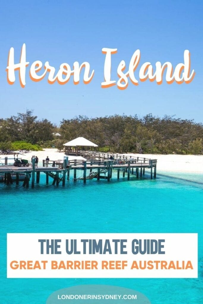 heron-island-review-1 - Londoner In Sydney heron-island-review-1