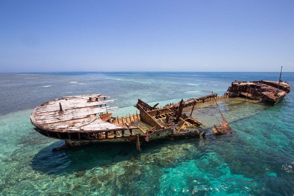 heron-island-great-barrier-reef-33 - Londoner In Sydney heron-island-great-barrier-reef-33