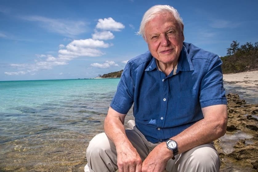 david-attenborough-heron-island - Londoner In Sydney david-attenborough-heron-island