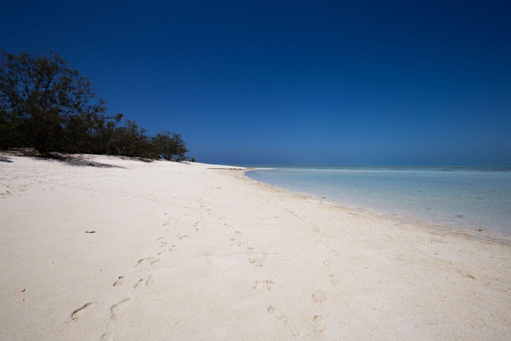 heron-island-great-barrier-reef-23 - Londoner In Sydney