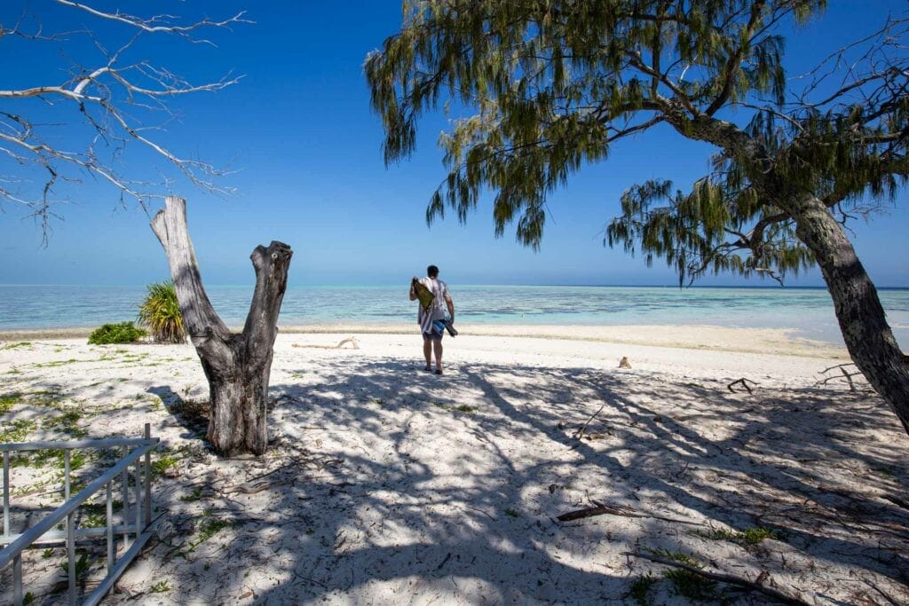 heron-island-great-barrier-reef-22 - Londoner In Sydney