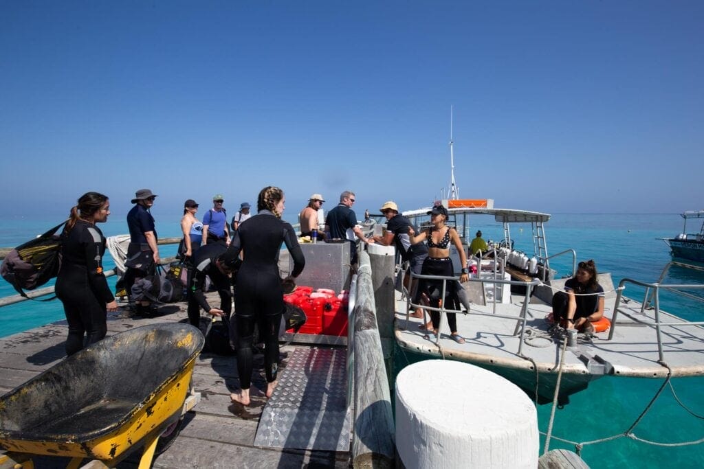 heron-island-great-barrier-reef-14