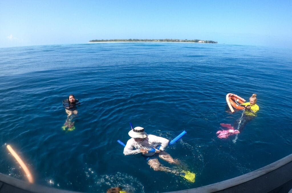 heron-island-great-barrier-reef-7 - Londoner In Sydney heron-island-great-barrier-reef-7