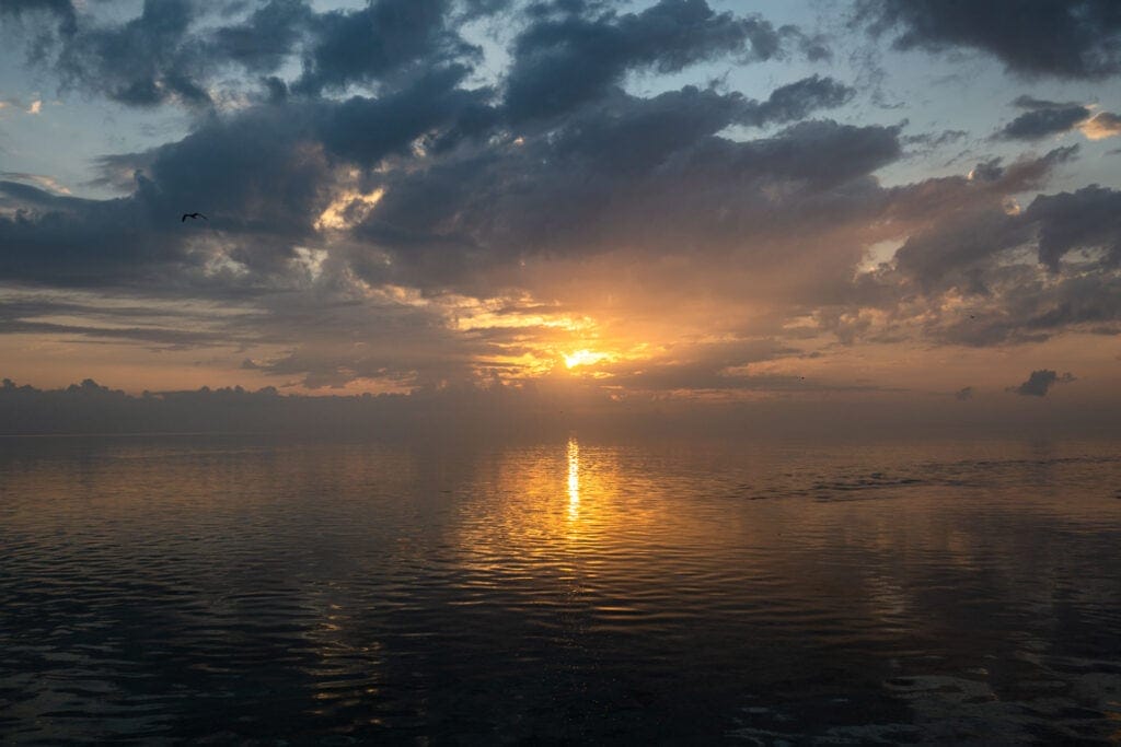 things-to-do-in-heron-island