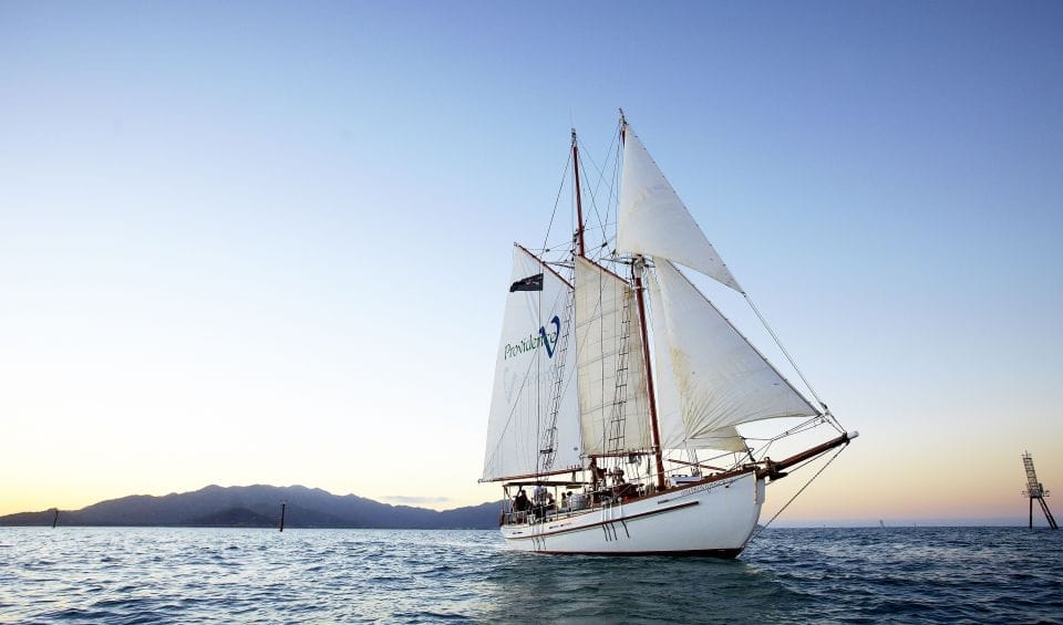 tall-ship-sailing-whitsundays - Londoner In Sydney tall-ship-sailing-whitsundays