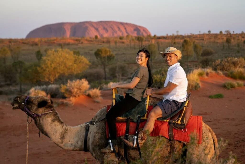 things-to-do-in-uluru-camel-ride