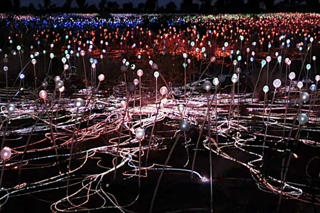 Field-of-light-festival-uluru