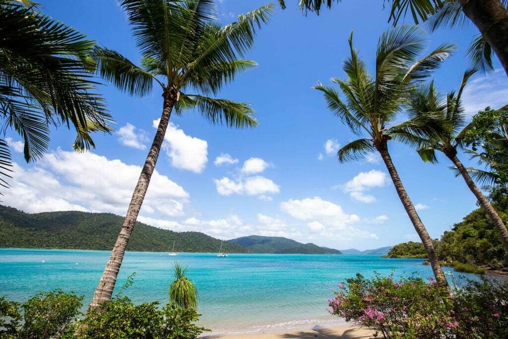 palm-bay-island-beach - Londoner In Sydney tropical-beach-palm-trees