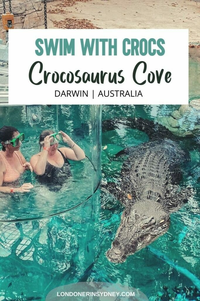 crocosaurus-cove-darwin - Londoner In Sydney swim-with-crocodiles