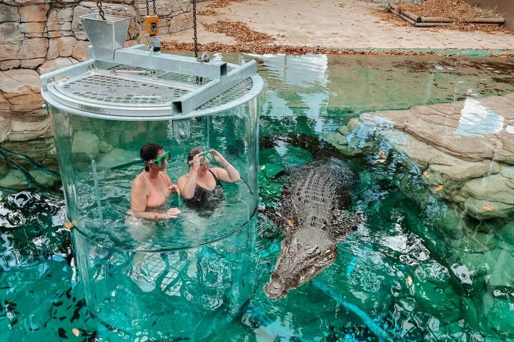 crocosaurus-cove-darwin