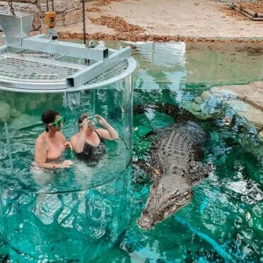 crocosaurus-cove-darwin