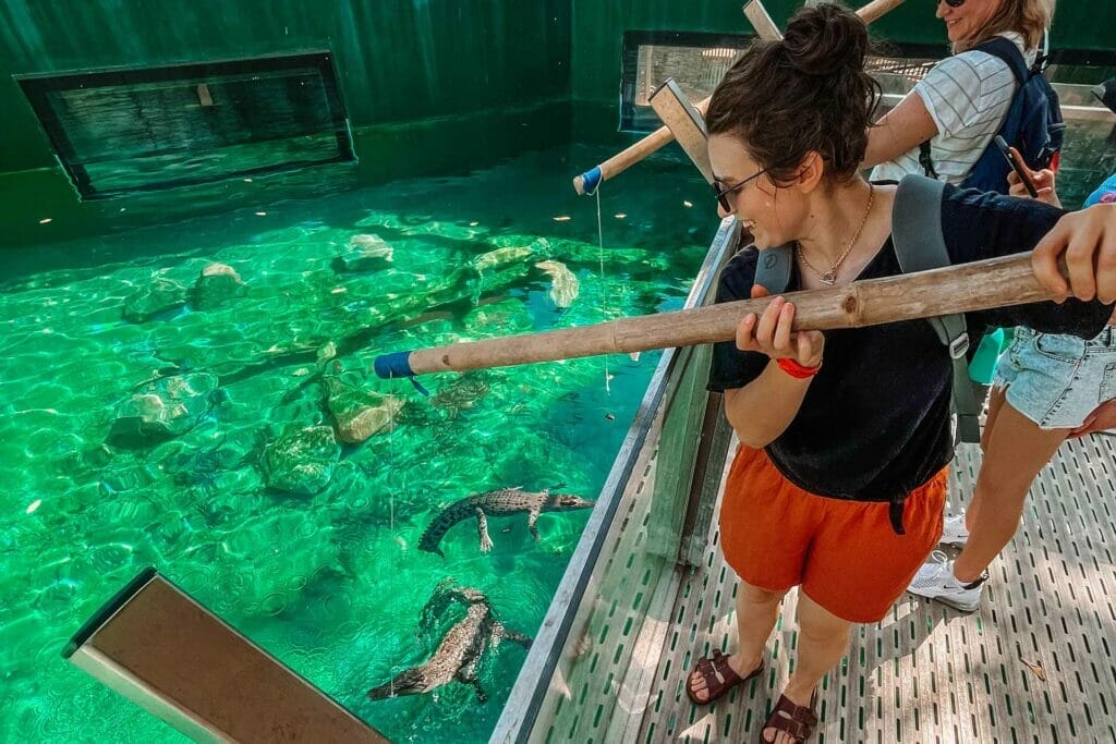crocosaurus-cove-darwin - Londoner In Sydney things-to-do-in-darwin-crocodiles