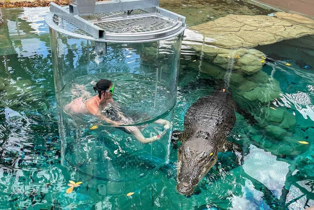 crocosaurus-cove-darwin - Londoner In Sydney crocosaurus-cove-darwin