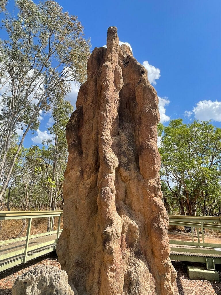 Termite-mound-litchfield-national-park
