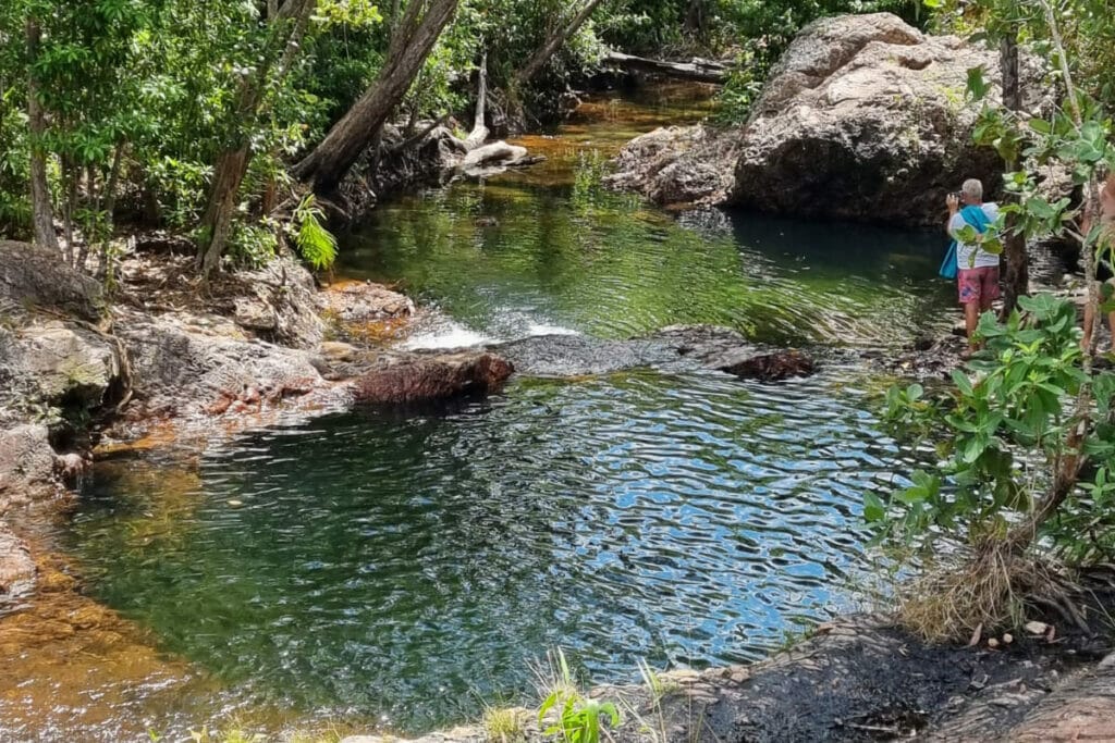 Berry-springs-litchfield-national-park-day-trip