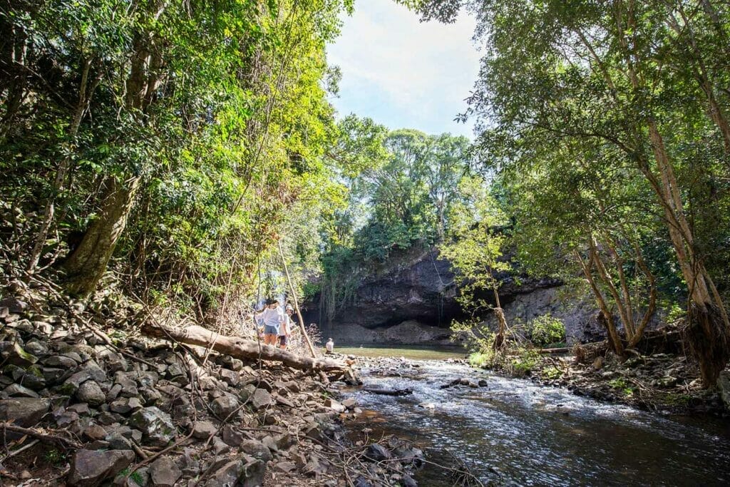 walking-along-a-river-to-killen-falls-in-northern-rivers