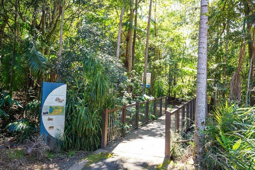 killen-falls-emigrant-creek-walk