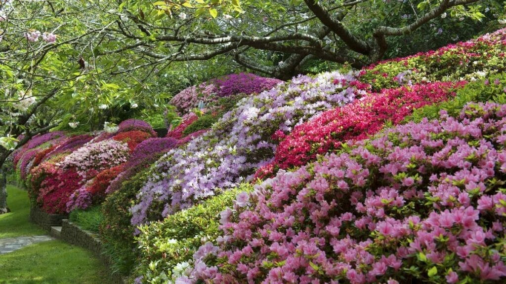 leura-gardens-festival