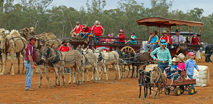 Barellan-good-old-days-festival