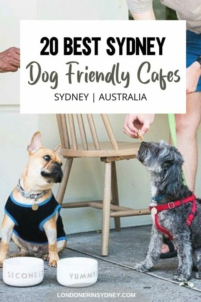 best-dog-cafes-in-sydney