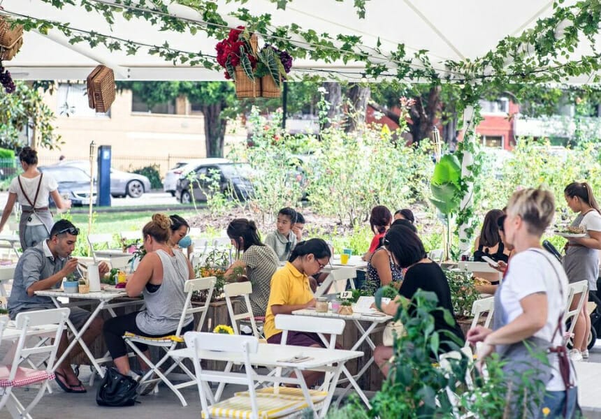 The-Picnic-Burwood-dog-cafes-in-sydney