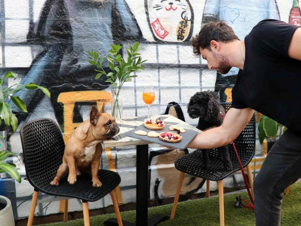 Honkas-Bar-&-Eats-best-dog-cafes-in-sydney