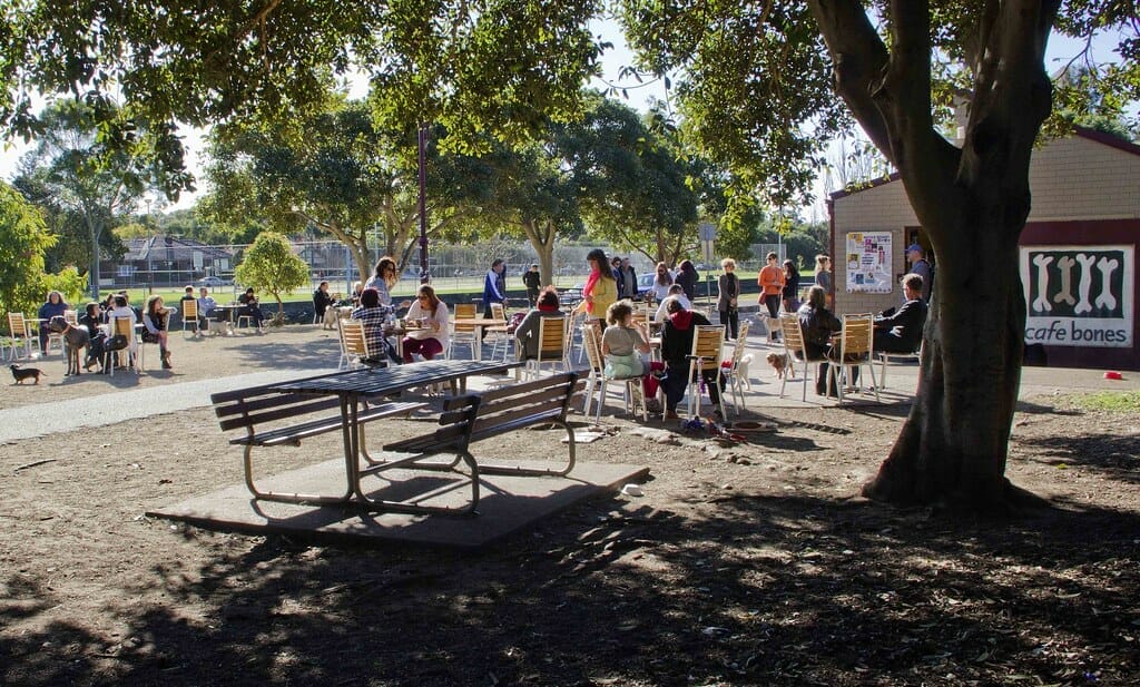 cafes-bones-best-dog-cafes-in-sydney