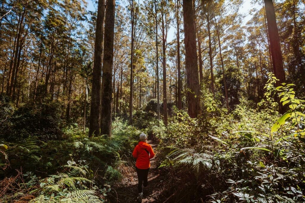 somerset-trail-daguilar-national-park